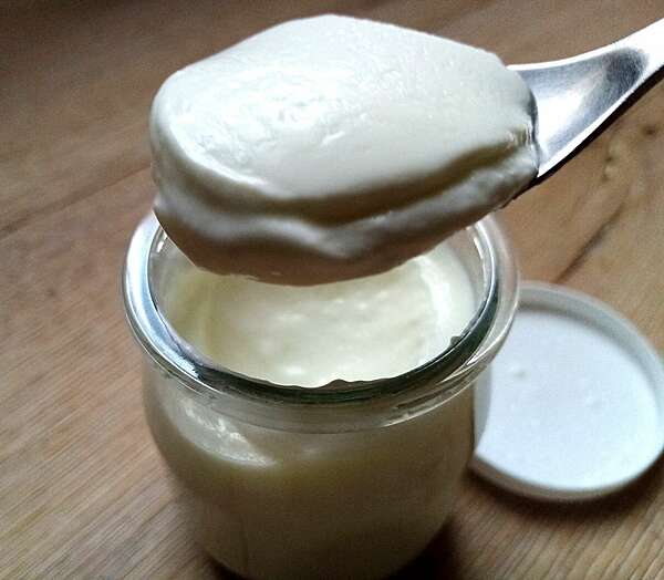 Yaourt maison au lait de chèvre
