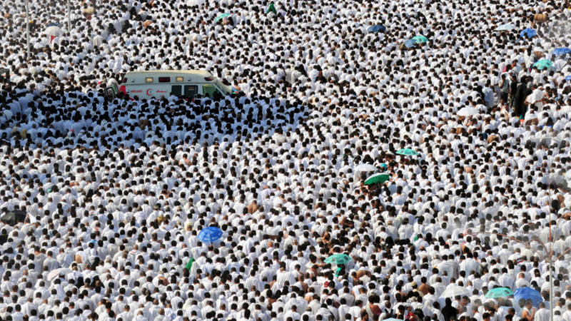 Le déplacement collectif