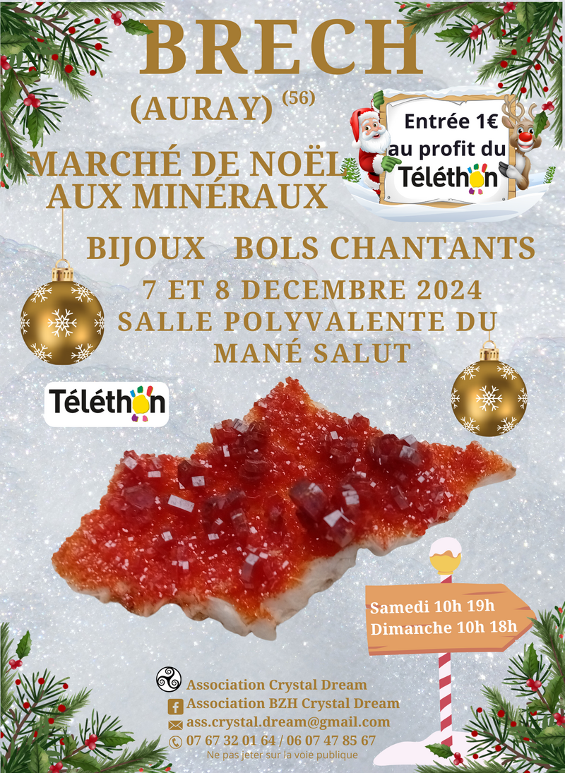 brech_202420250514-45183-d2z6fp