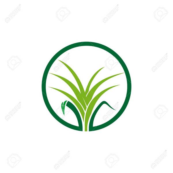 Logo Nature verte