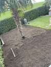 terre fertile avec gazon vert et enracinement profond