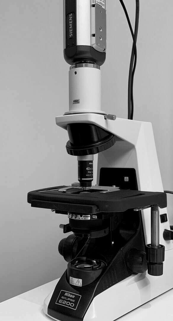 LE MICROSCOPE OPTIQUE EN PARODONTIE