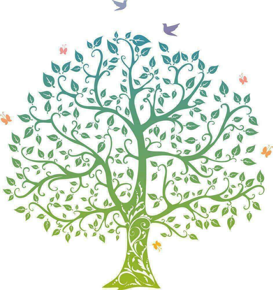 Association L'Arbre de Seyr