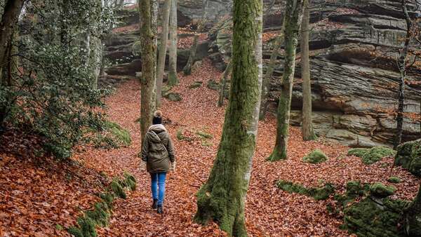 Conscience et autocompassion 