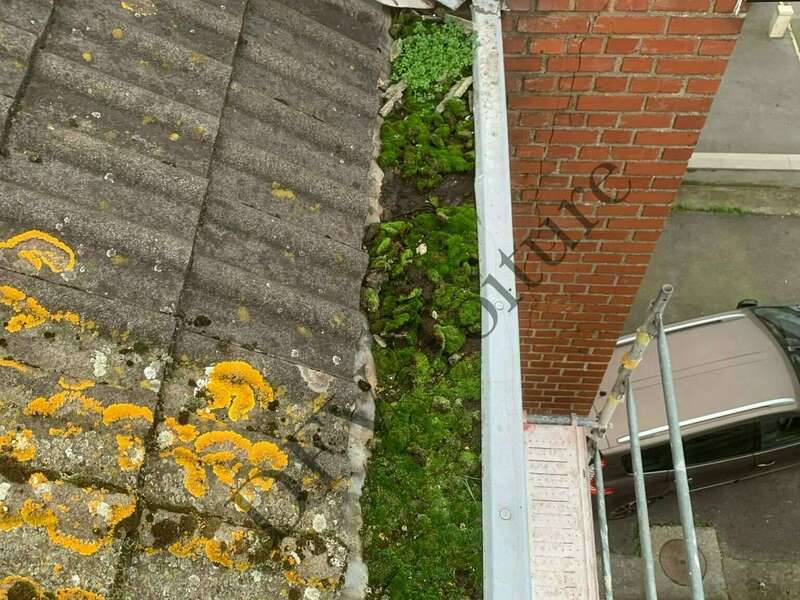 498596444_122126445068779307_6299771043441234203_n