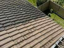 498143411_122126447294779307_738512629323769622_n