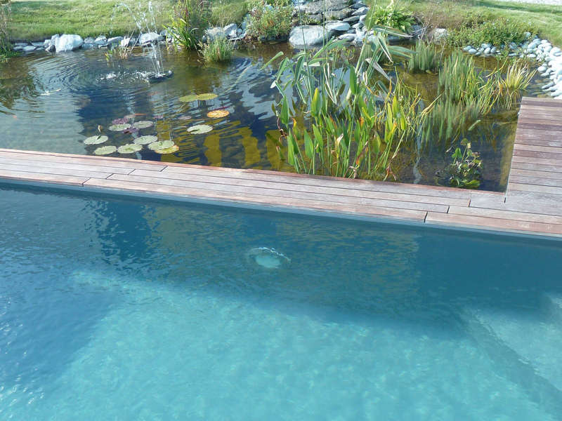 06_-_piscine_exterieur_naturelle