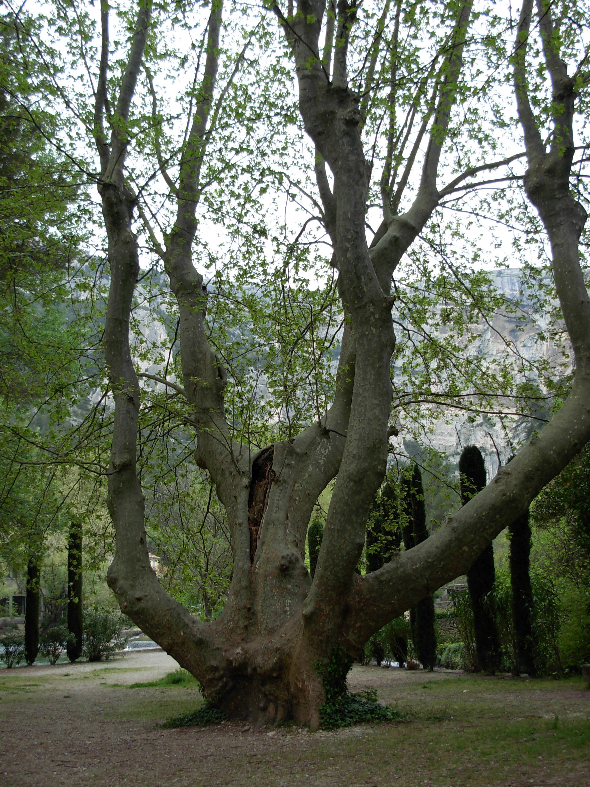 Psycho-energétique et Reiki