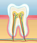 INSTRUCTIONS POST-OPERATOIRES ENDODONTIE