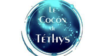 Cocon de Thetys