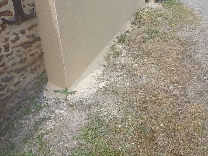 resized_20240611_132259