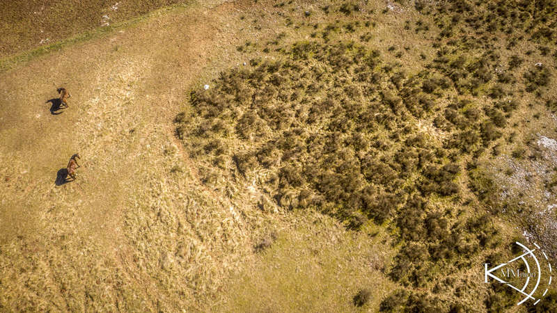 version_2000_film_entier