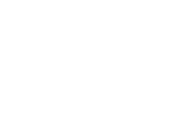 Logo SMJ Conseil