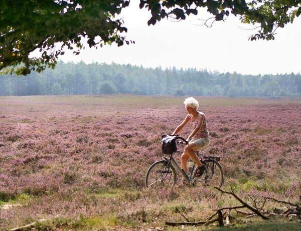 Les régions qui profitent de l’exode des retraités