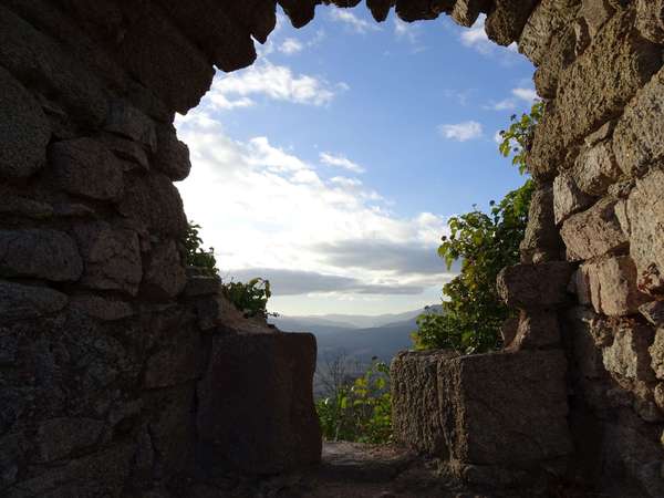 Comment élever ses vibrations énergétiques ?