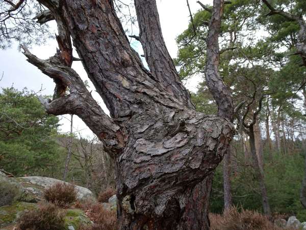 S'ancrer, une pratique essentielle