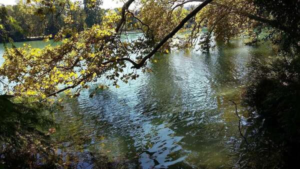 ATELIER : Vivre l'instant présent au quotidien