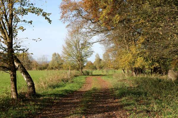 ATELIER  Détox d'automne