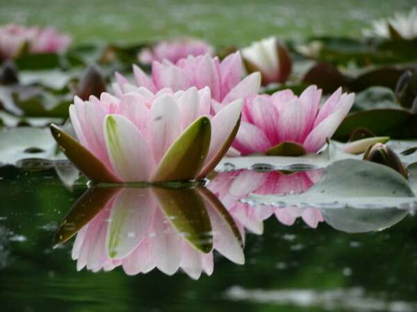 Bienfaits du massage Abhyanga