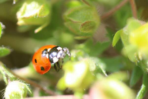 REMETTONS LA JOIE DANS NOTRE VIE