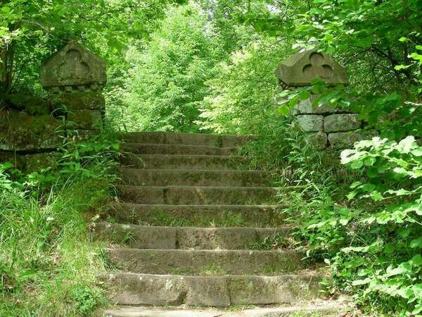 Une recette détox délicieuse