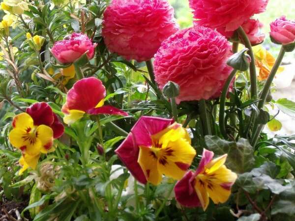 ATELIER : Méditation Mandala