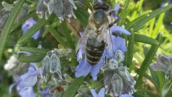 STAGE : Ralentir le rythme