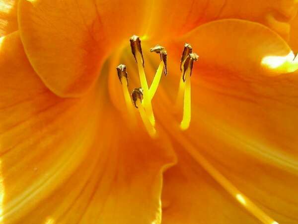 CERCLE DE LUMIERE : partage et méditation