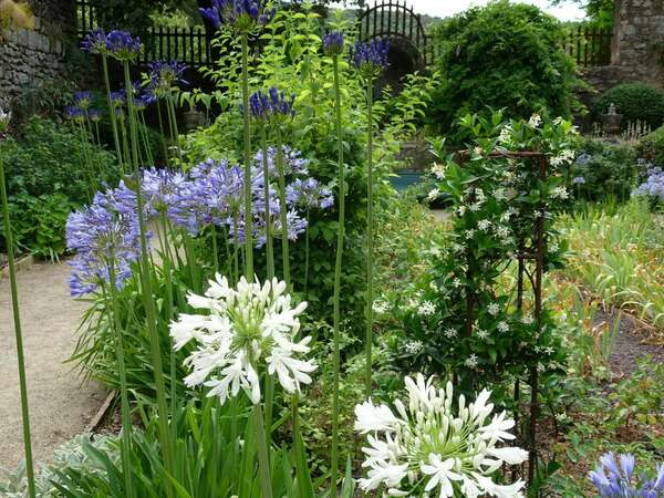 ATELIER  Saison d'été selon l'Ayurvéda