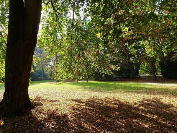 Session groupe : VIVRE LE MOMENT PRESENT