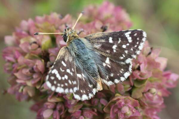 Move Ligne & Conscience