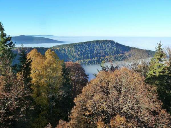 Bilan de vie début d'année