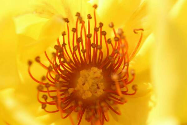 Retrouver une relation saine avec l'alimentation