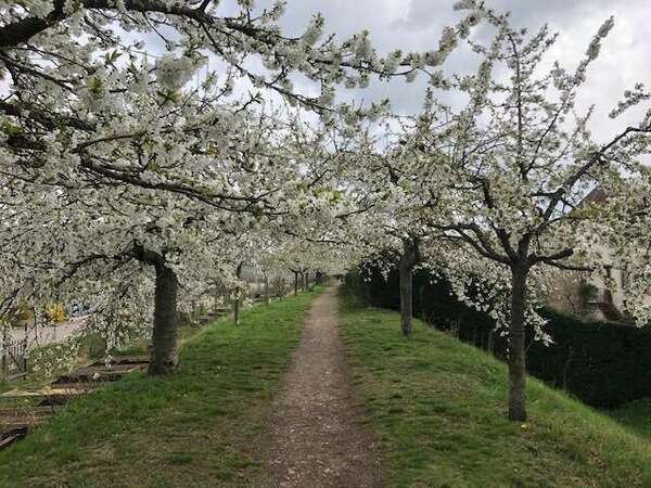 S'adapter au printemps