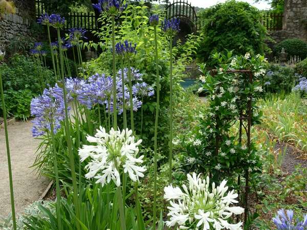 Atelier : VIVEZ L'ETE AYURVEDIQUE