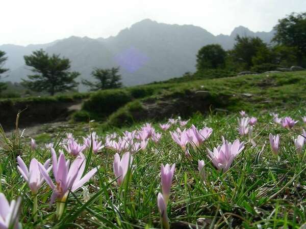 Vivre l'automne en harmonie