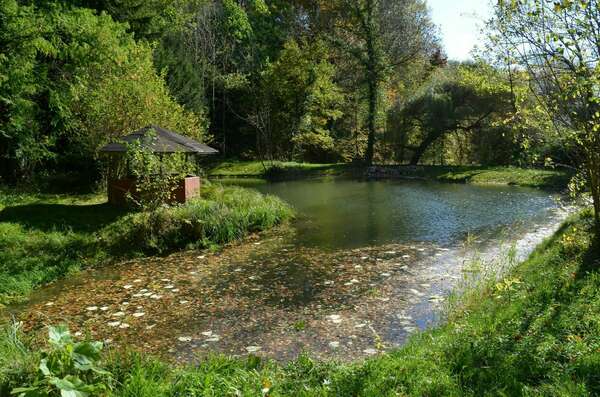 Atelier : Libérer les colères !
