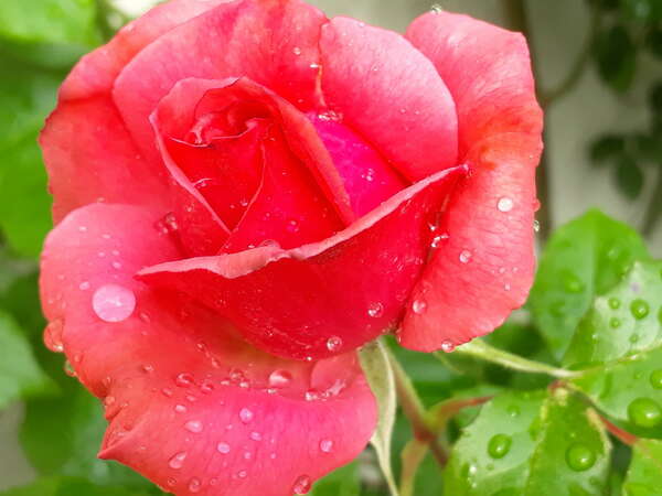 Que faire lors d'une vague émotionnelle ?