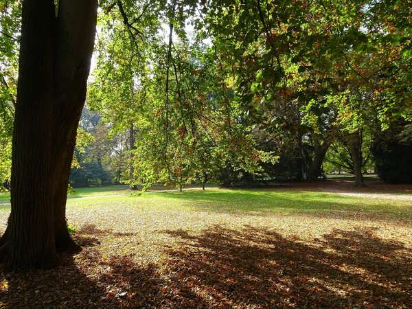 Séances groupe : Gestion stress, relations, émotions