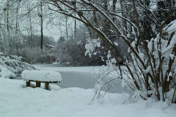 Stage : L'ENERGIE DE L'HIVER, ANCRAGE ET ECOUTE