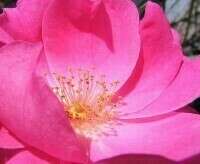 NOUVELLE ORIENTATION PROFESSIONNELLE : L'art du Bien vieillir