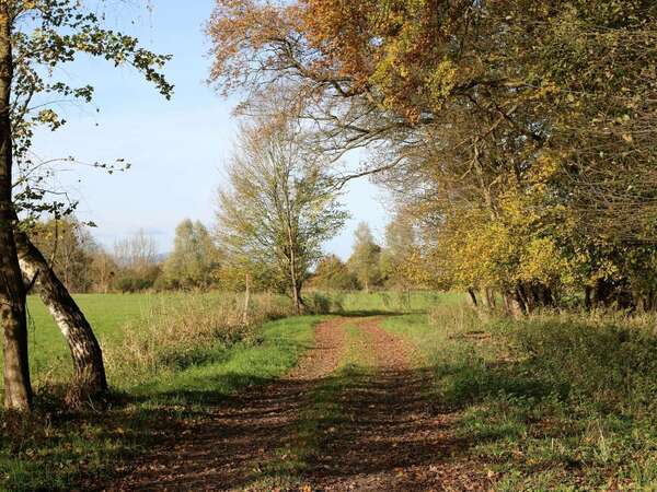 Journée Santé type