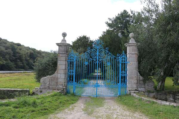 Atelier : Libérez les émotions, clé de la sérénité 