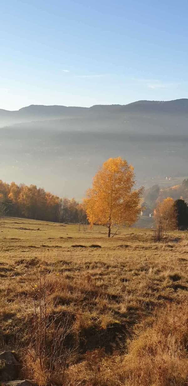 Vivre cet automne en sérénité
