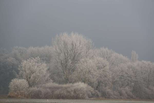 Journée santé Hiver