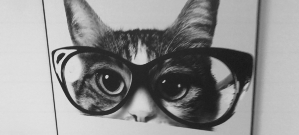 Le port de la correction optique stabilisera ma vue ou aggravera mon besoin de les porter?