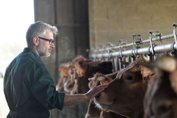 MHE : un délai supplémentaire pour demander ses aides