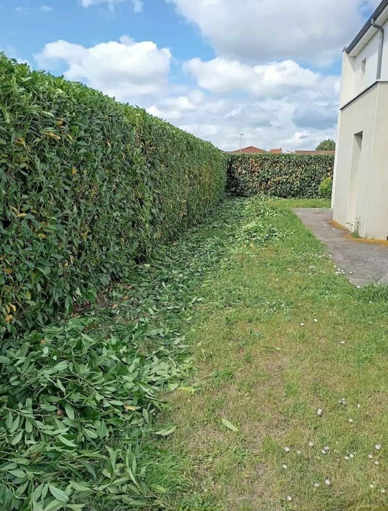 screenshot_20241226_105505_google