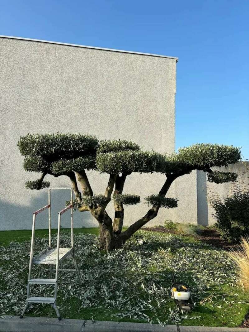 screenshot_20250110_102701_google