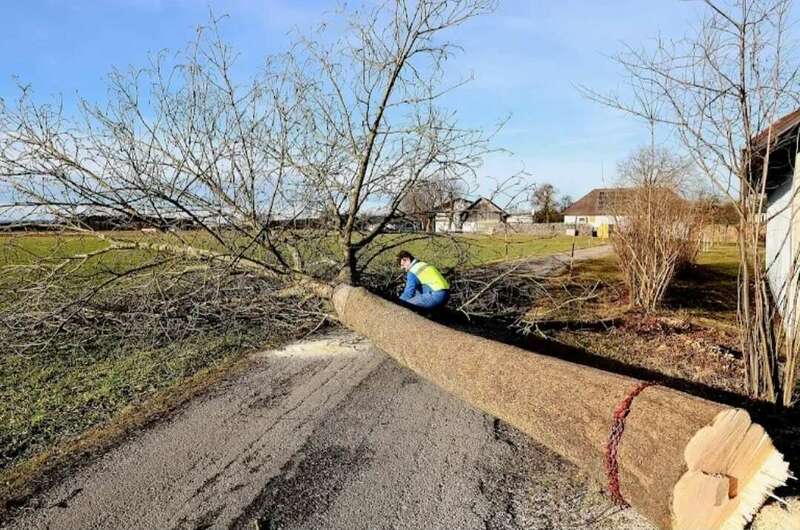 screenshot_20250110_102754_google